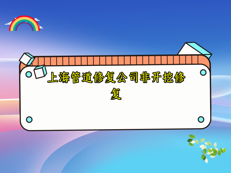 上海管道修復(fù)公司非開挖修復(fù)